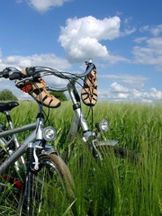 Killikus&reg; Fotographie